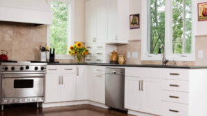Interior kitchen concept and remodel - flooring, backsplash, countertops and cabinets